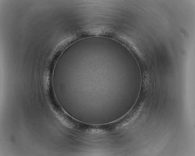 X0000112030590200908101341
