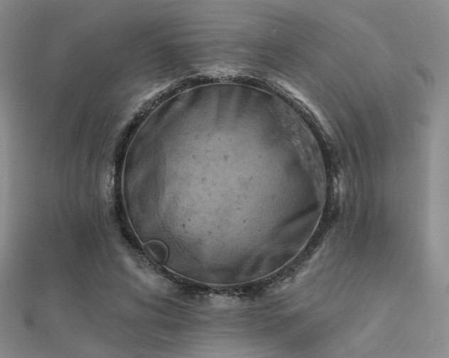 X0000112030592200908101341