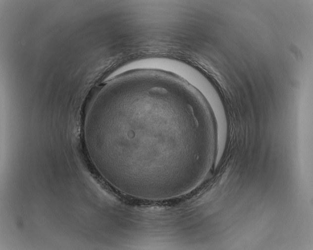 X0000112030593200908101341