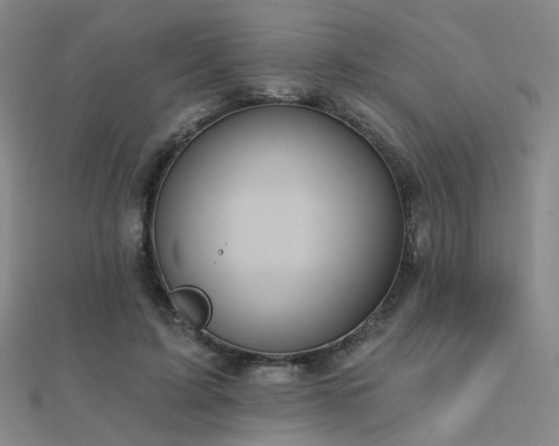 X0000112030595200908101340