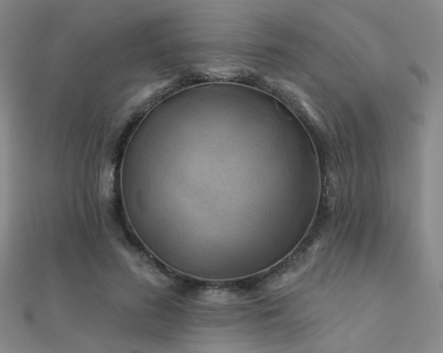 X0000112030596200908101340