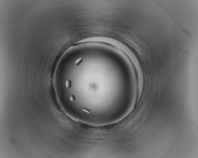 X0000112030597200908101340