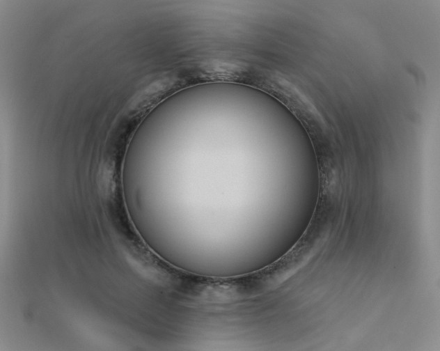 X0000112030599200908101340