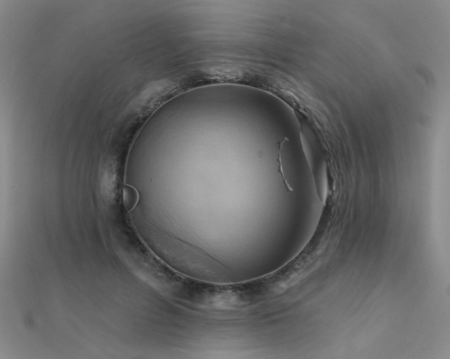 X0000112030600200908101340