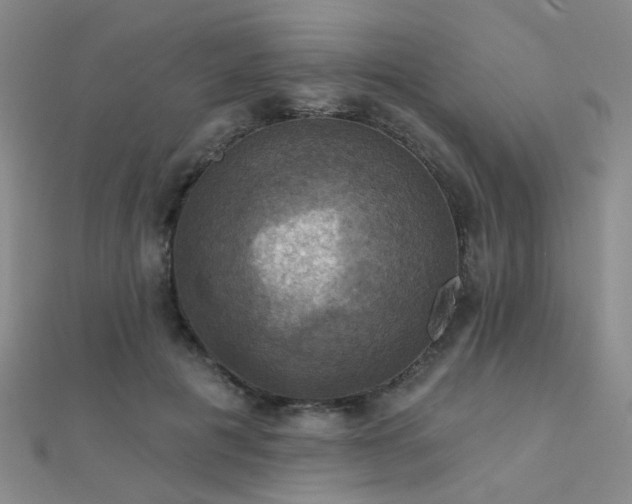 X0000112030601200908101340