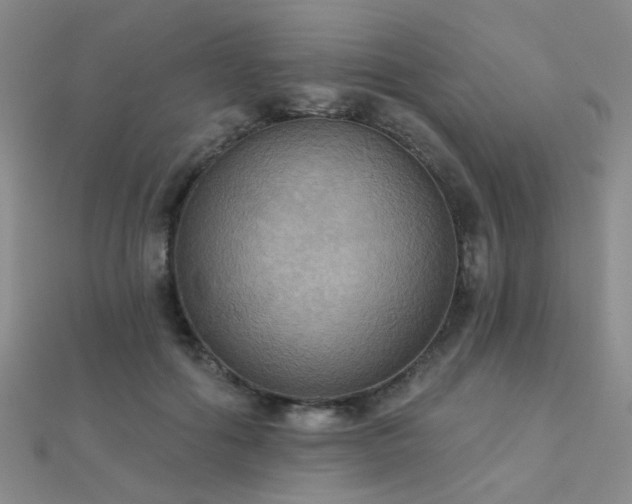X0000112030602200908101340