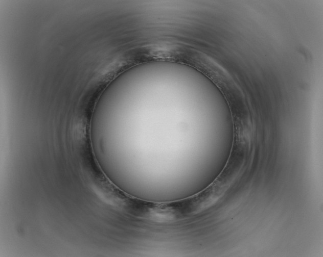 X0000112030603200908101340
