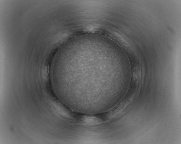 X0000112030605200908101340