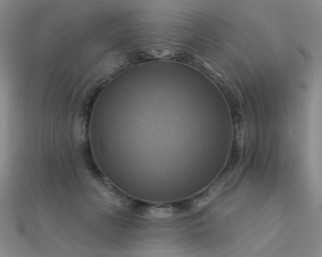 X0000112030606200908101340
