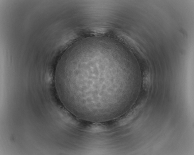 X0000112030608200908101340