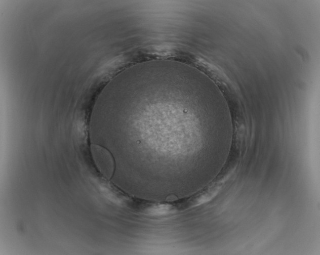 X0000112030609200908101340