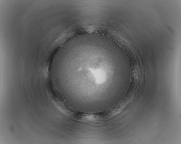 X0000112030611200908101340