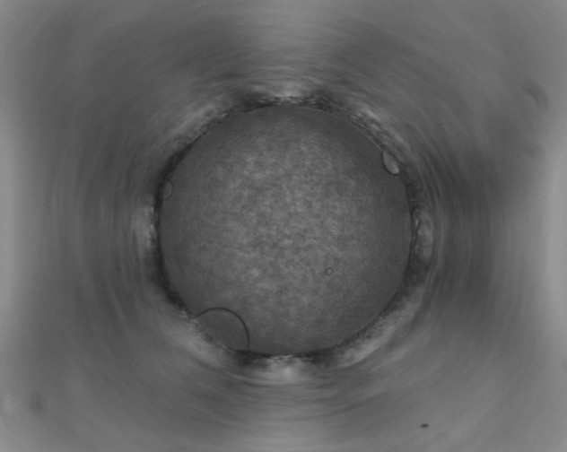 X0000112030612200908101340