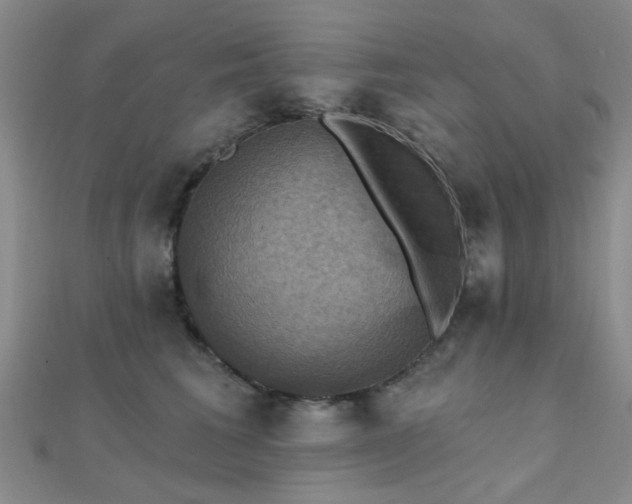 X0000112030613200908101340