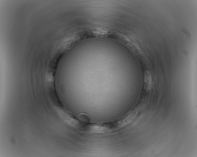 X0000112030614200908101340