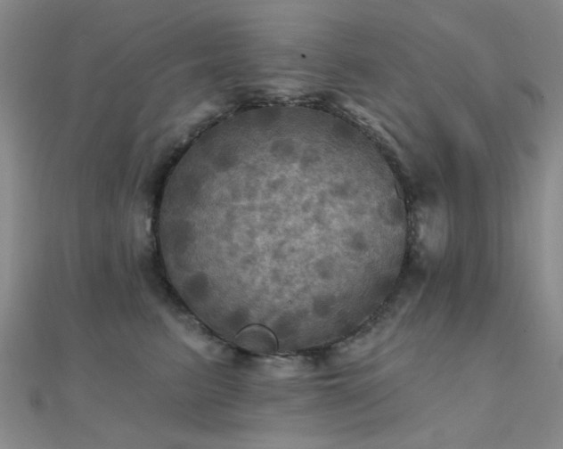 X0000112030615200908101340