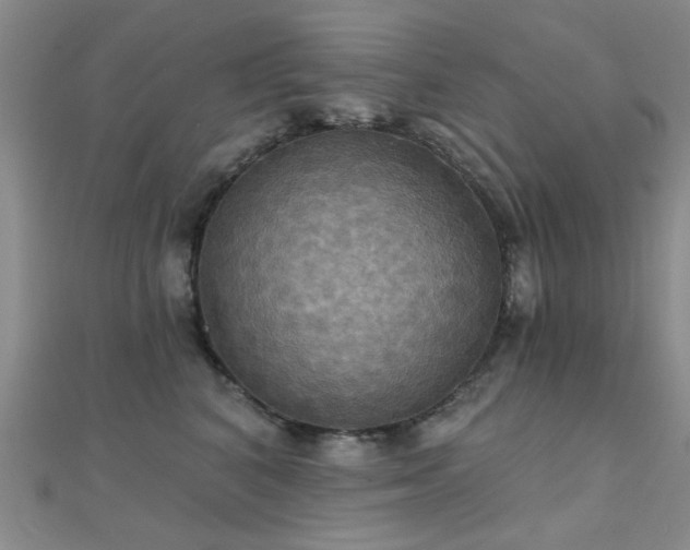 X0000112030616200908101340