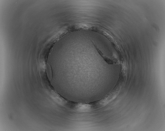 X0000112030617200908101340