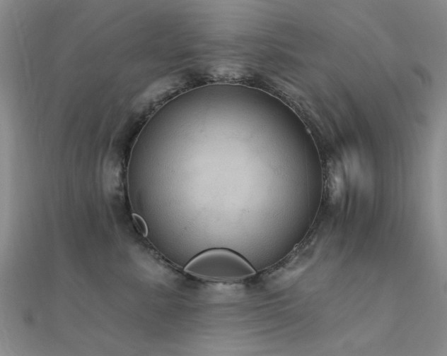 X0000112030619200908101340