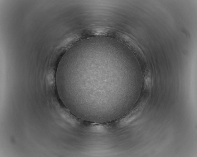 X0000112030620200908101340