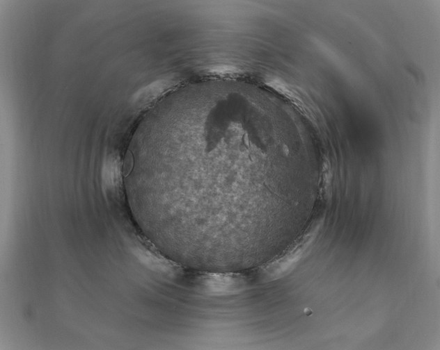 X0000112030623200908101340