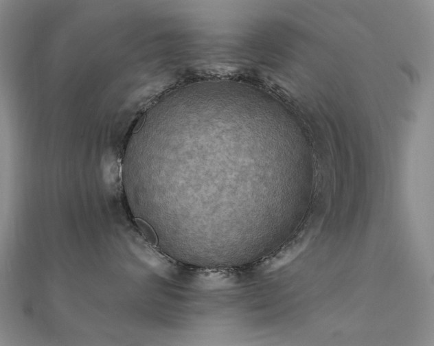 X0000112030624200908101340