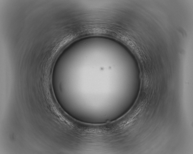 X0000112030625200908101339