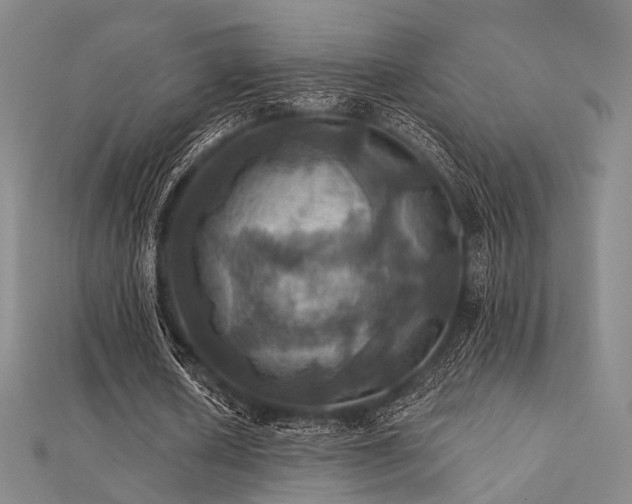 X0000112030626200908101339
