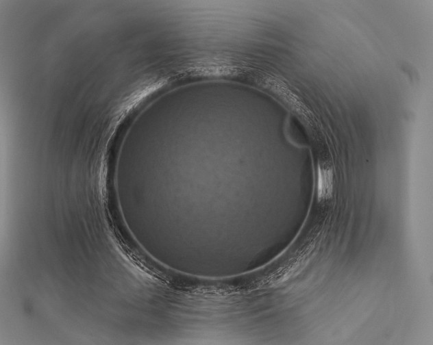 X0000112030627200908101339