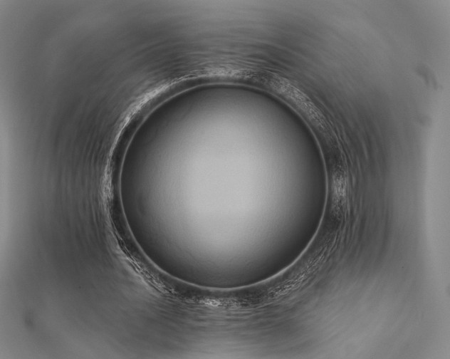 X0000112030628200908101339