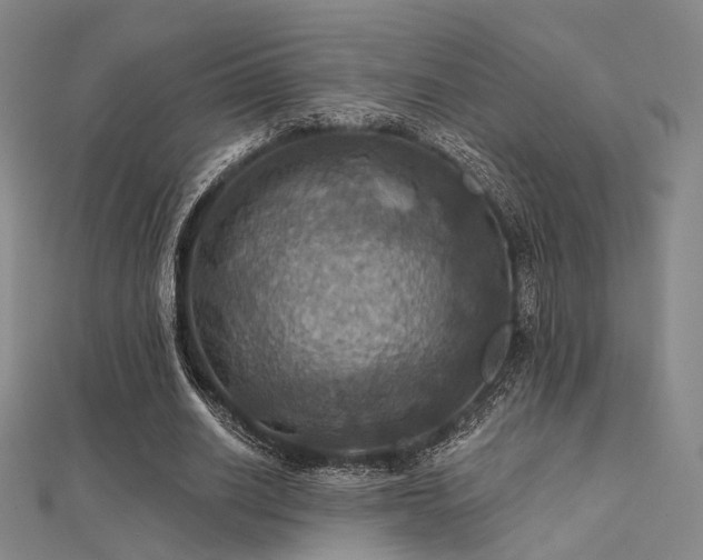 X0000112030630200908101339
