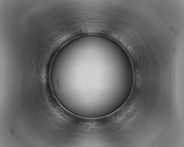 X0000112030631200908101339