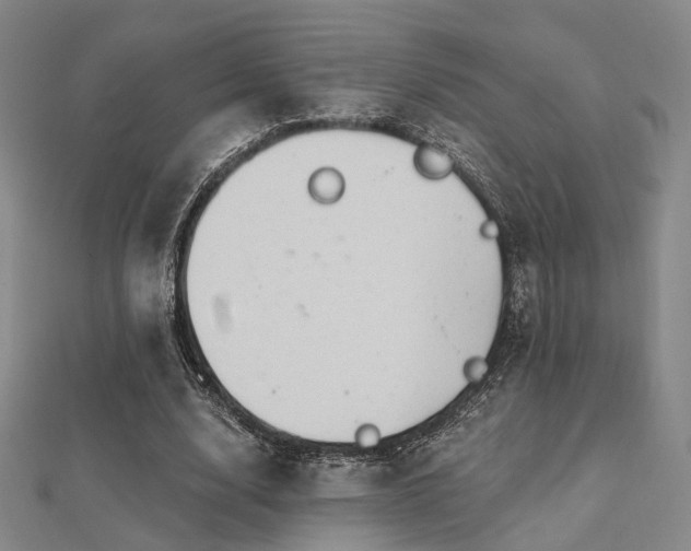 X0000112030632200908101339