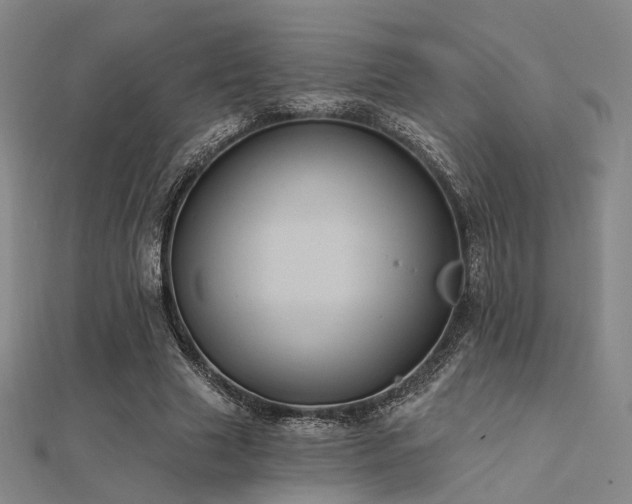 X0000112030633200908101339