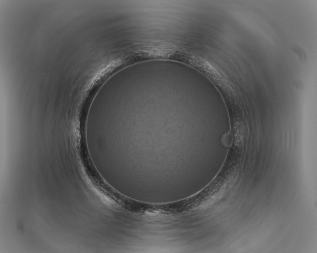 X0000112030634200908101339