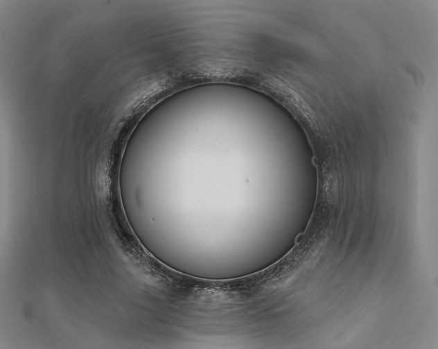X0000112030635200908101339