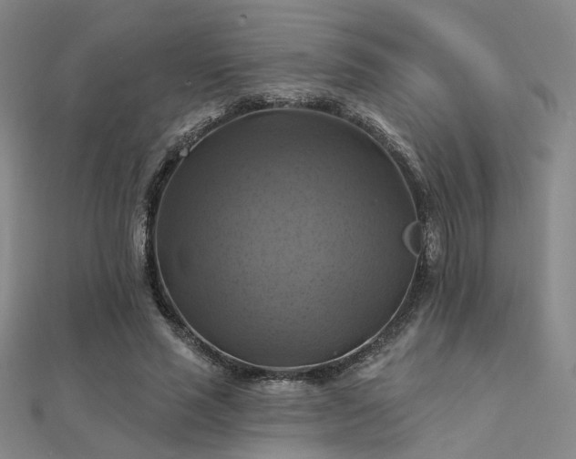 X0000112030637200908101339