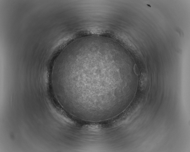 X0000112030639200908101340