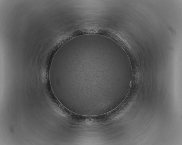X0000112030641200908101340