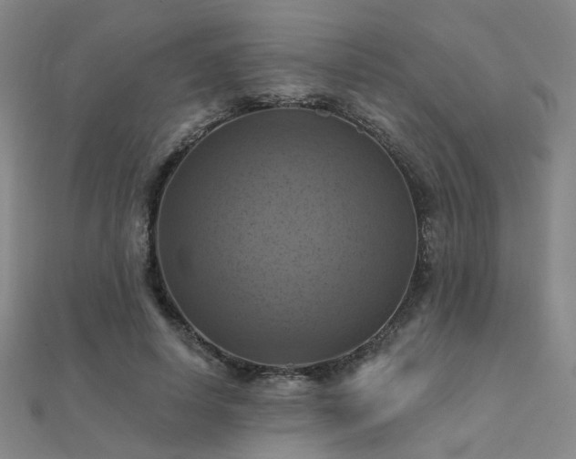 X0000112030642200908101340