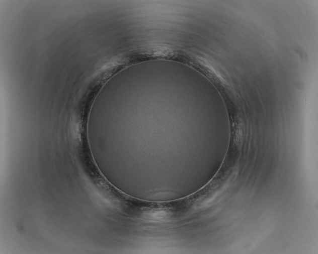 X0000112030643200908101340