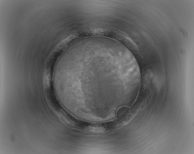 X0000112030644200908101340