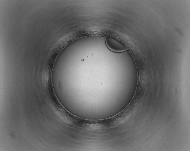 X0000112030645200908101340