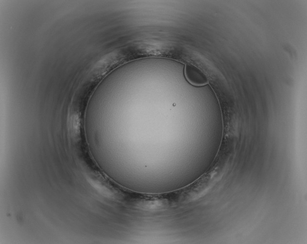 X0000112030646200908101340