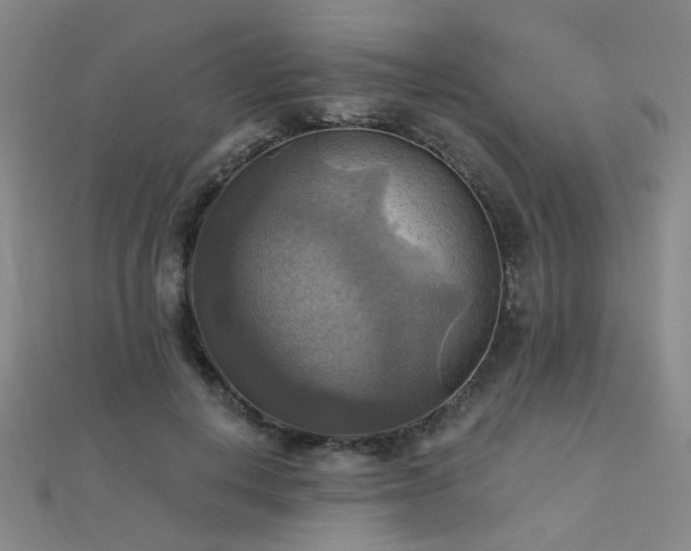 X0000112030648200908101340
