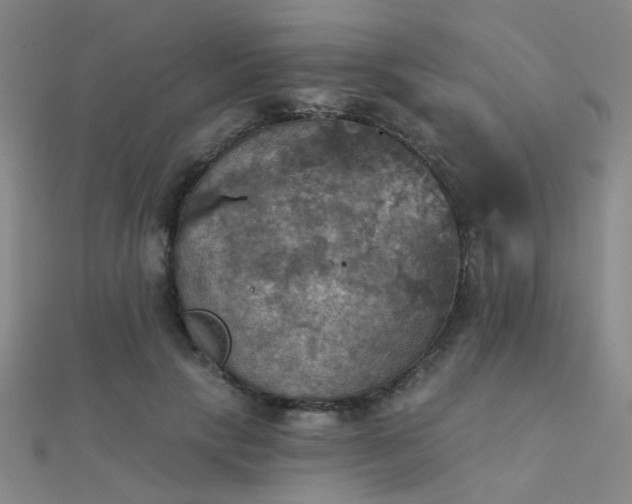 X0000112030649200908101340
