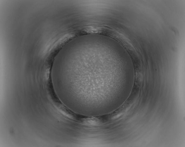 X0000112030652200908101340