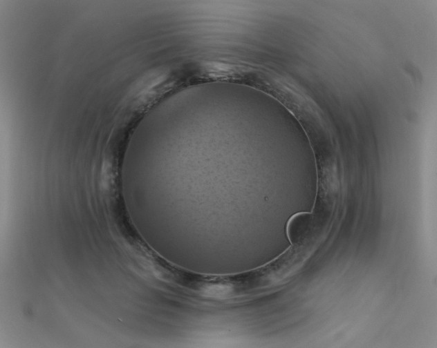 X0000112030653200908101340