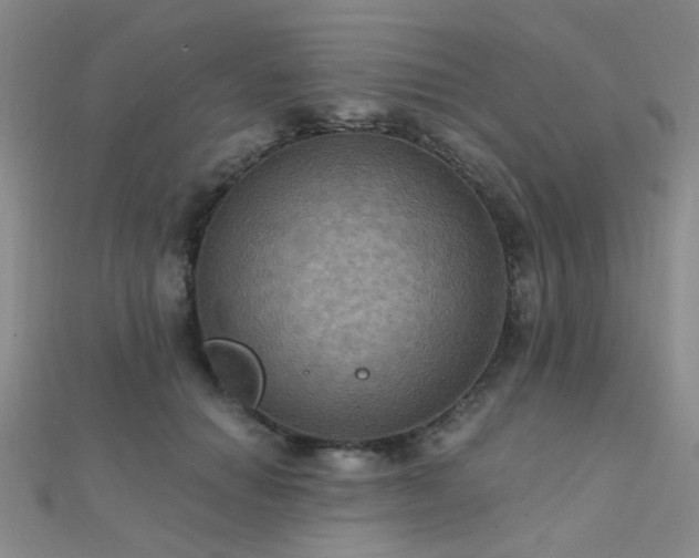 X0000112030654200908101340