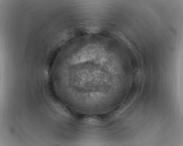 X0000112030655200908101340